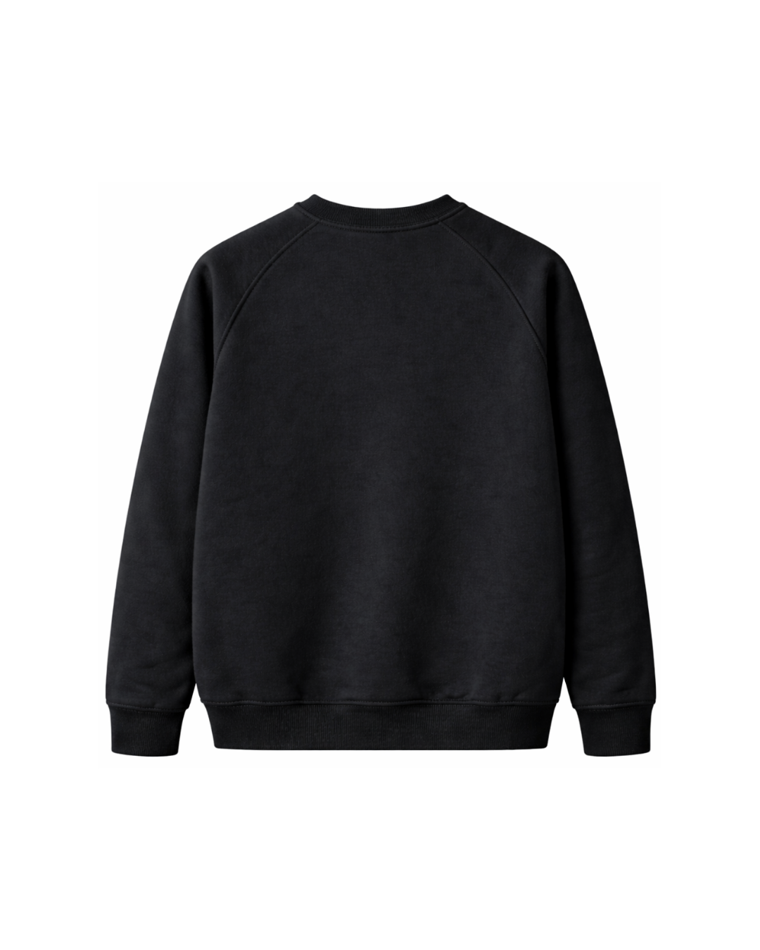 Kurt Nakışlı Şardonsuz 3 İplik Unisex Sweatshirt Siyah